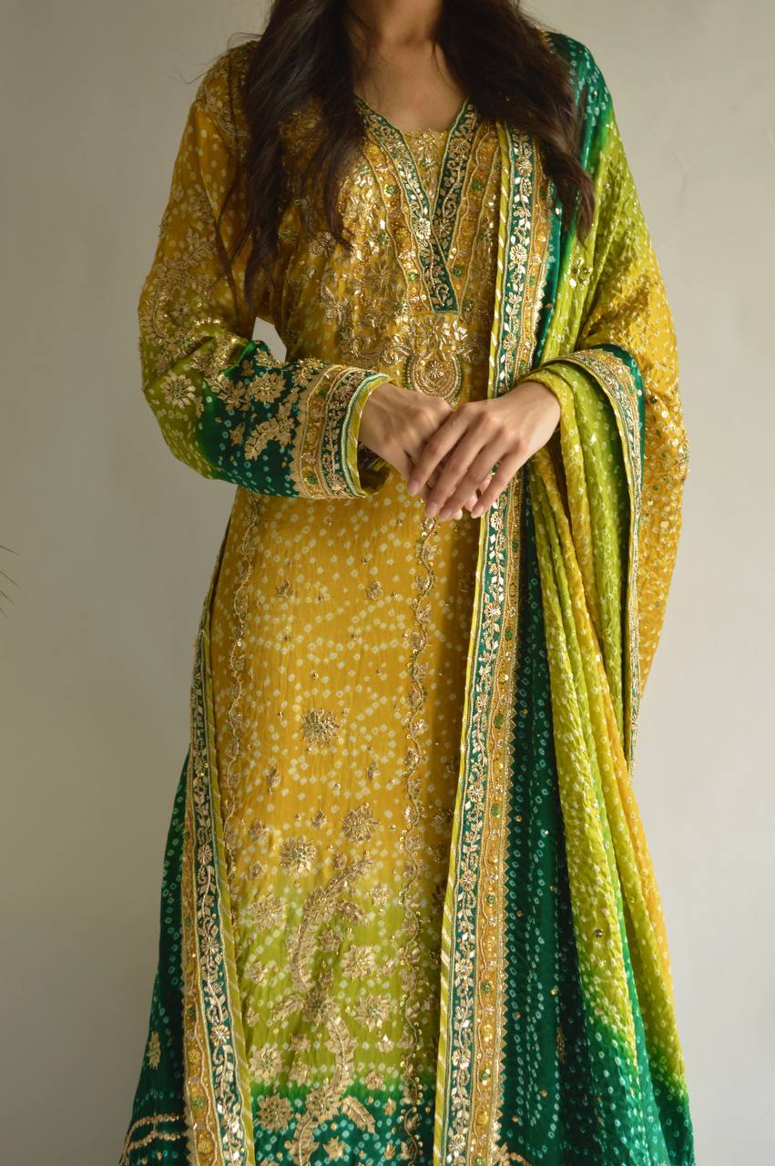 Discover Two Stunning Styles of Traditional Pakistani Dresses