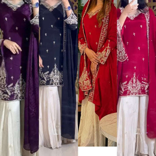 A Showcase of Pakistani Dress Styles in Four Captivating Colors Worn by a Graceful Woman